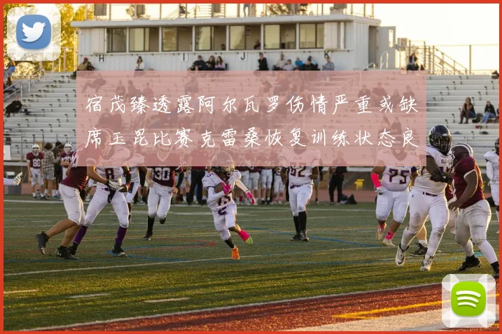 宿茂臻透露阿尔瓦罗伤情严重或缺席玉昆比赛克雷桑恢复训练状态良好